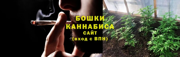 стаф Богданович