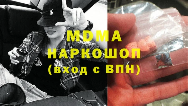 стаф Богданович