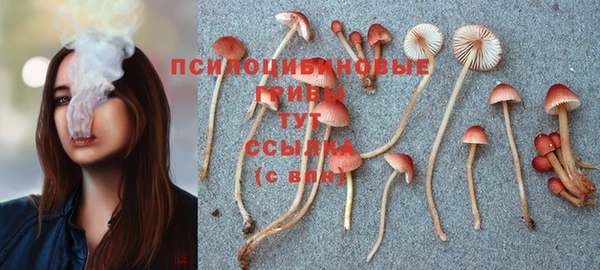 героин Богородицк
