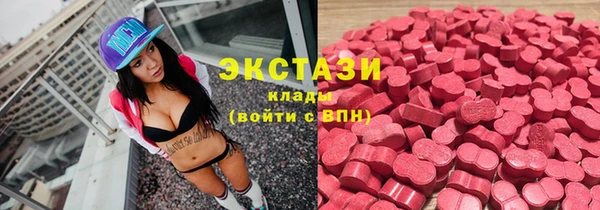 стаф Богданович