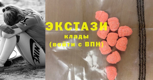 стаф Богданович